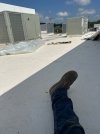 IMG_4567.jpeg