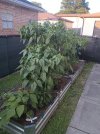 IMG_20250728_192634.jpg