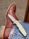 IMG_2295.jpeg