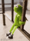 kermit-the-frog-kermit.gif