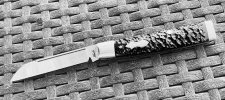 IMG_2025-07-29-173250.jpeg