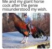 IMG_0209.jpeg