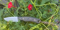 IMG_5793.jpeg