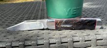 IMG_1800.jpeg