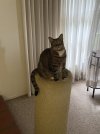 IMG_1754.jpeg