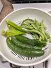 IMG_4408.jpeg