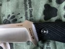 IMG_9875.jpeg