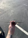 IMG_5272.jpeg