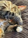 IMG_1764.jpeg