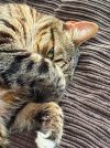 IMG_1765.jpeg