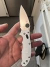 IMG_7342.jpeg
