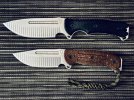 IMG_8329.jpeg