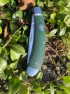IMG_0576.jpeg