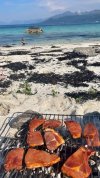 IMG_4387.jpeg