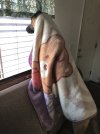 IMG_7662.jpeg