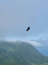IMG_4443.jpeg