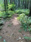 IMG_0583.jpeg