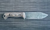 IMG_8406 2.jpeg