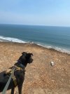 IMG_8877.jpeg