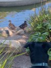 IMG_8879.jpeg