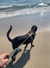 IMG_8886.jpeg