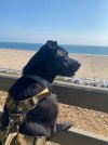 IMG_8891.jpeg
