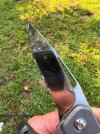 IMG_2483.jpeg