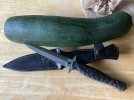 IMG_1399.jpeg