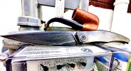 IMG_0308.jpeg