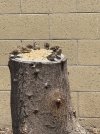 IMG_1792.jpeg