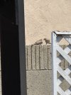 IMG_1793.jpeg