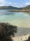 IMG_4483.jpeg