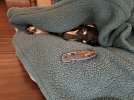 IMG_2154.jpeg
