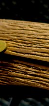 Screenshot_20250803_162714_Gallery.jpg