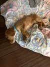 IMG_0001.jpeg