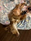 IMG_0016.jpeg