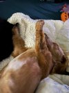 IMG_0460.jpeg