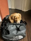IMG_0529.jpeg