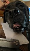 IMG_9724.jpeg