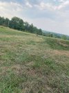 IMG_5085.jpeg