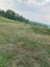 IMG_5086.jpeg