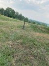 IMG_5088.jpeg
