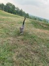 IMG_5089.jpeg