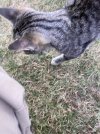 IMG_5090.jpeg