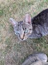 IMG_5091.jpeg