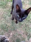 IMG_5093.jpeg