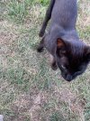 IMG_5092.jpeg