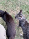 IMG_5099.jpeg