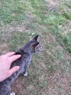 IMG_5100.jpeg
