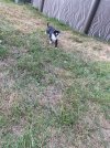 IMG_5096.jpeg
